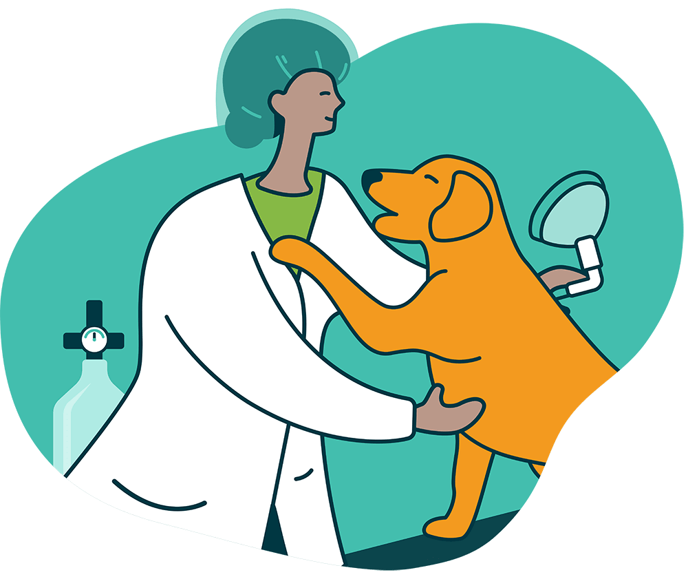 Coastal Care Veterinary